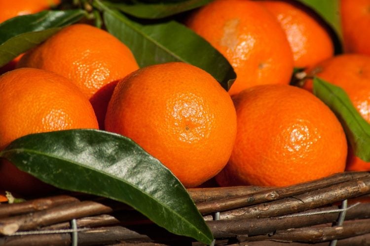 Marmellata di mandarini