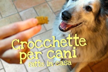 Crocchette per cani fatte in casa da Benedetta