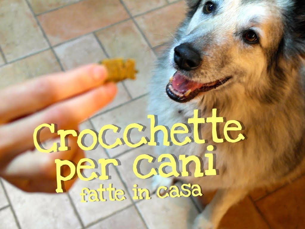 Crocchette per cani fatte in casa da Benedetta