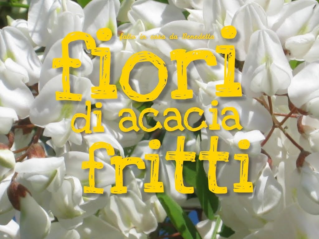 fiori di acacia fritti