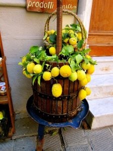 proprietà del limone