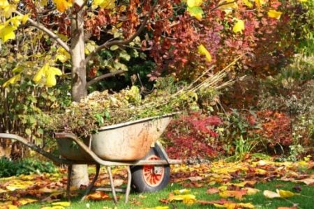 Come curare il giardino in autunno
