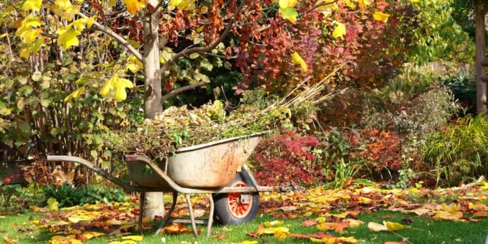 Come curare il giardino in autunno