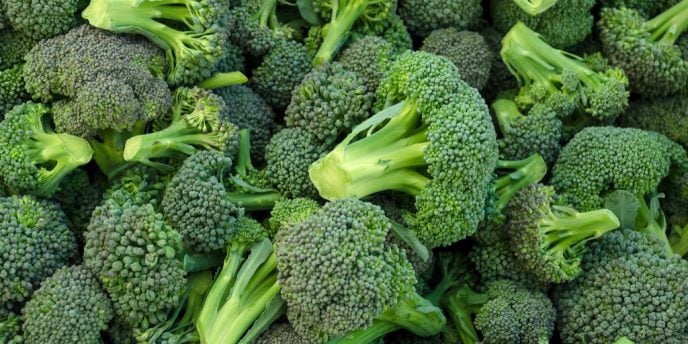 I broccoli e le loro proprietà