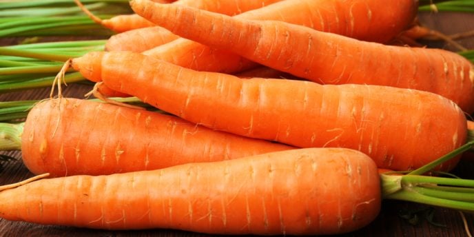 La carota e le sue proprietà