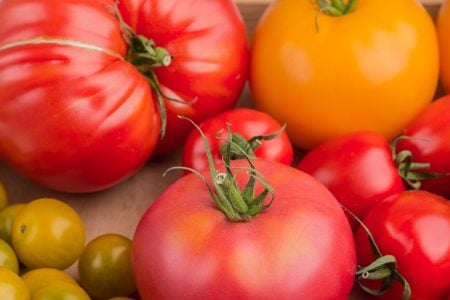 I pomodori, idee per utilizzarli in cucina