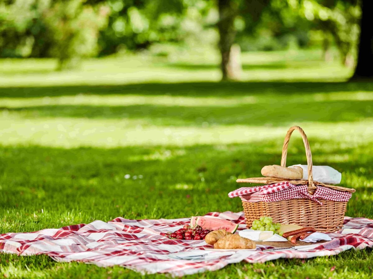 Come organizzare un picnic