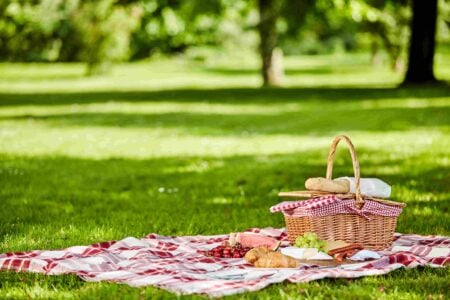 Come organizzare un picnic