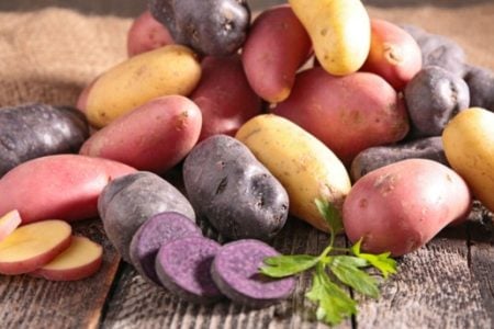 Le principali varieta’ di patata