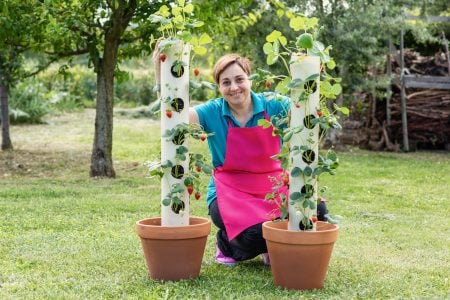 Come coltivare le fragole nell’orto verticale in vaso