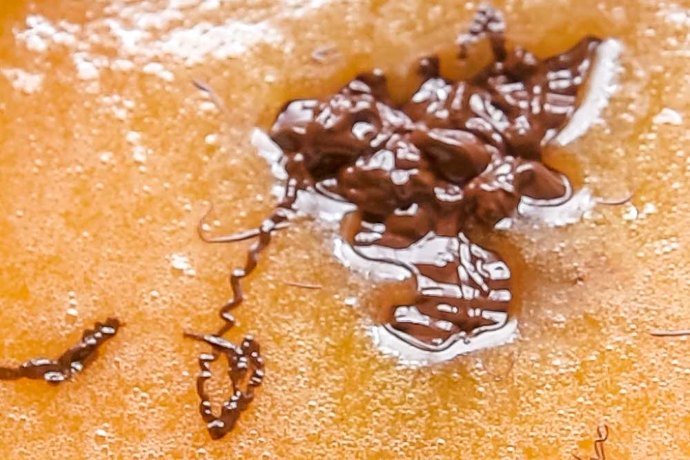 Brownies al cioccolato con gelato - Step 3