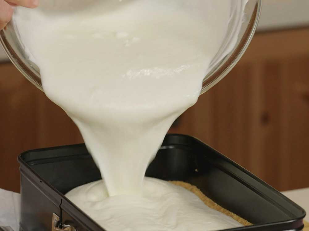 Torta fredda allo yogurt di Benedetta - Step 10