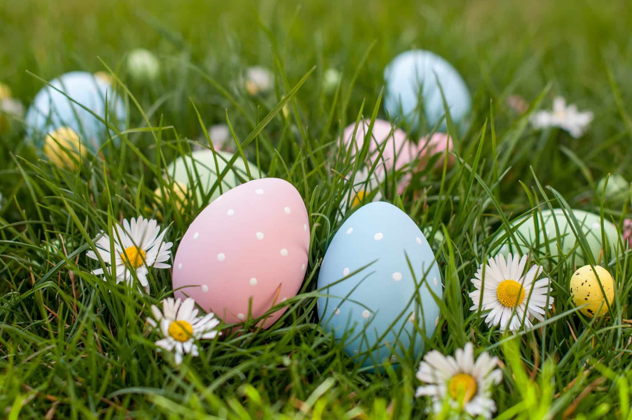 Come organizzare una caccia alle uova di Pasqua originale e divertente -  Fatto in casa da Benedetta