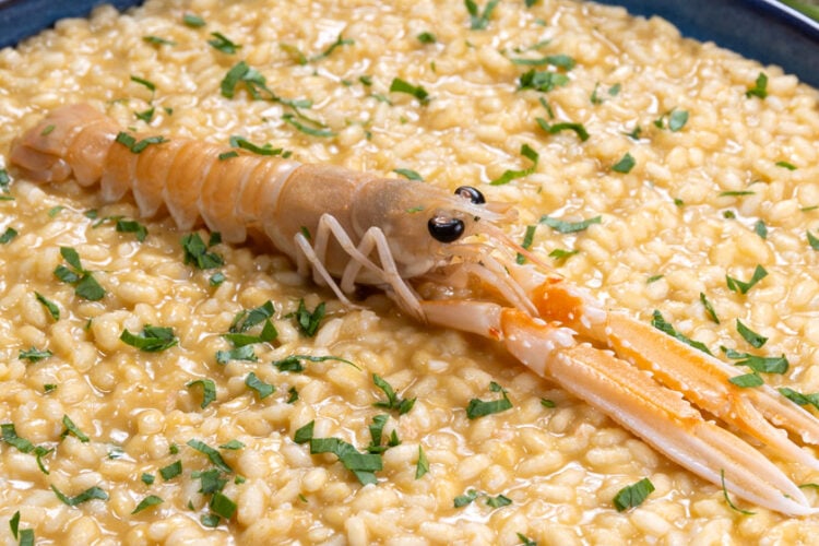 Risotto alla crema di scampi