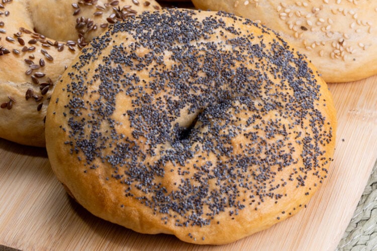 Bagel