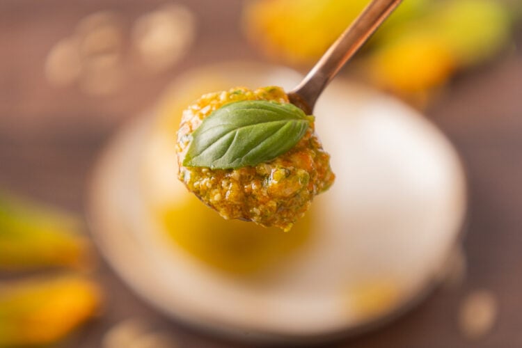 pesto di fiori di zucca