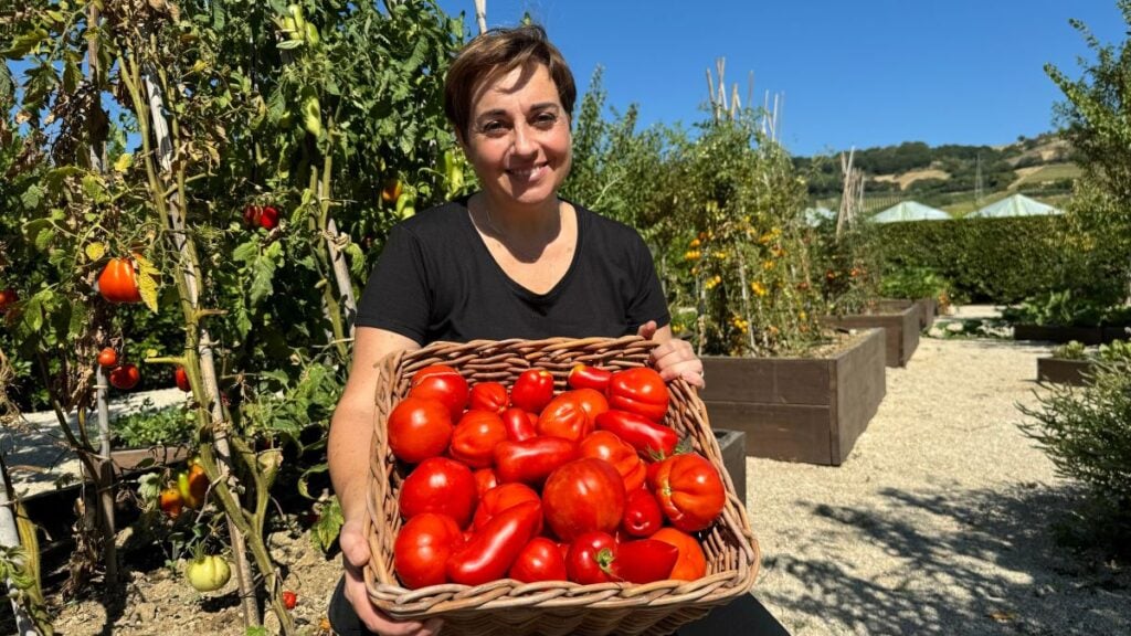come fare scorta di verdure per l'inverno
