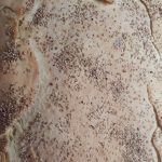 La foto di giovanna-pomascuole-provincia-tn-it