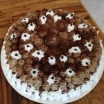 La foto di cenerina